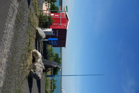 Der Speisewagen am Aussichtspunkt in Störmthal.