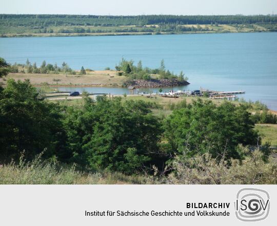 Die Landzunge mit dem sogenannten Silberwald im Störmthaler See.