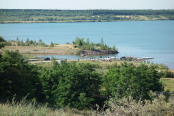Die Landzunge mit dem sogenannten Silberwald im Störmthaler See.