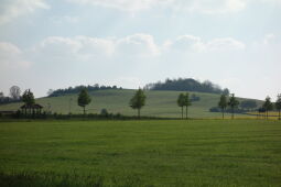Blick zum Großen Stein bei Spitzkunnersdorf.