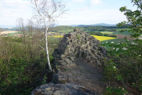 Der sogenannte Goethekopf, der Nebengipfel des Großen Steins bei Spitzkunnersdorf.