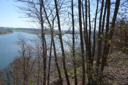Ausblick über die Talsperre Pöhl 3.