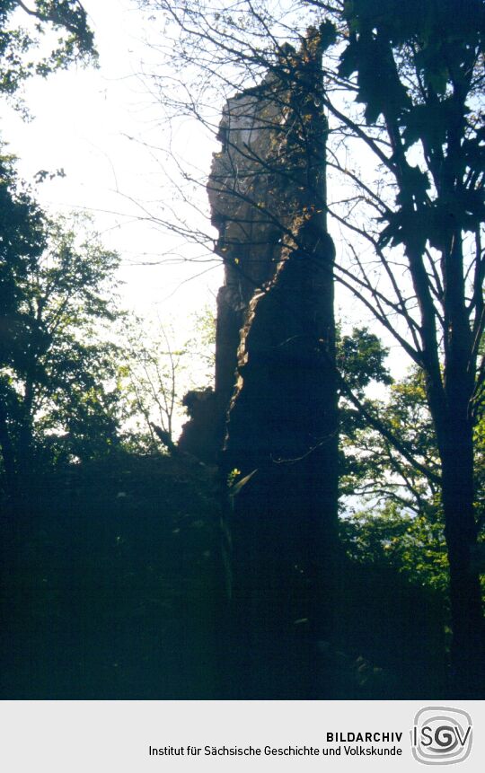 Die Ruine des Tischer- oder Mäuseturms in Radebeul-Oberlößnitz.