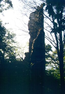 Die Ruine des Tischer- oder Mäuseturms in Radebeul-Oberlößnitz.