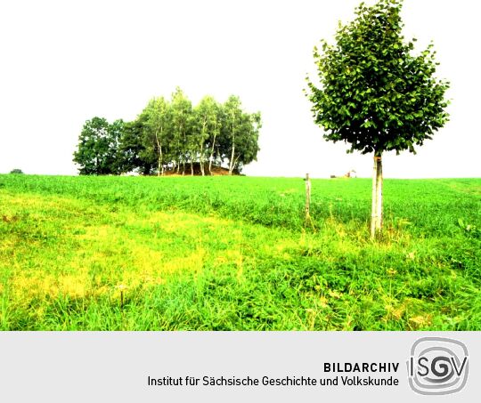 Die Sinold-Höhe bei Lößnitz (Erzgebirge).