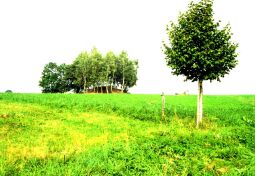 Bild: Die Sinold-Höhe bei Lößnitz (Erzgebirge).