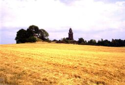 Bild: Bismarckturm auf dem Wachtelberg bei Wurzen.