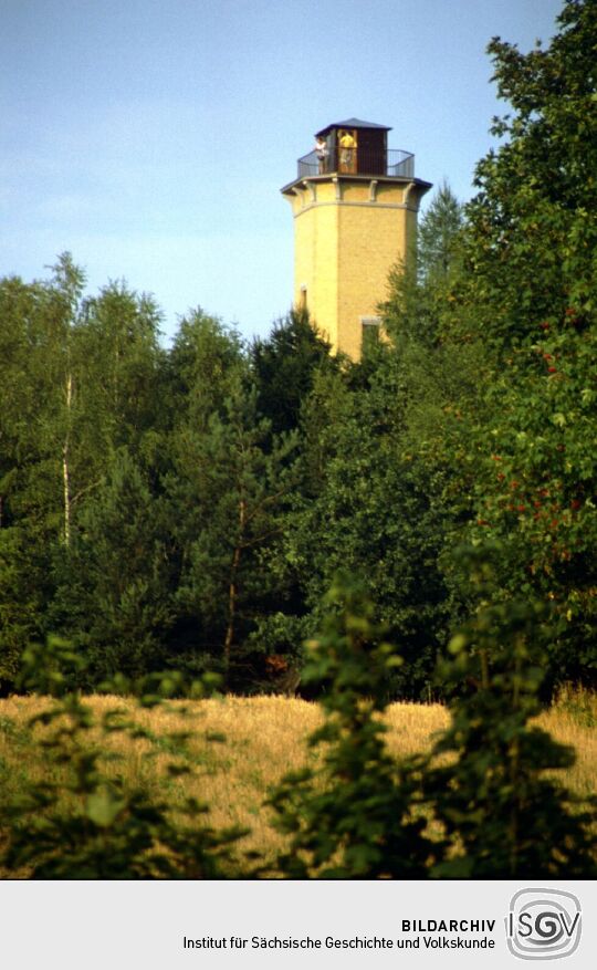 Der Perlaser Turm auf der Wilhelmshöhe bei Treuen-Perlas.