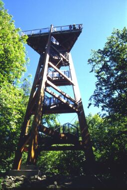 Der Aussichtsturm auf dem Schlechteberg von Ebersbach.