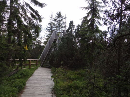 Das Aussichtsgerüst im Kleinen Kranichsee bei Johanngeorgenstadt.