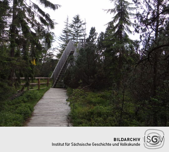 Das Aussichtsgerüst im Kleinen Kranichsee bei Johanngeorgenstadt.