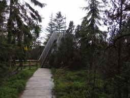 Bild: Das Aussichtsgerüst im Kleinen Kranichsee bei Johanngeorgenstadt.