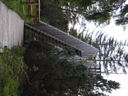 Das Aussichtsgerüst im Kleinen Kranichsee bei Johanngeorgenstadt.