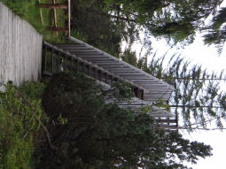 Bild: Das Aussichtsgerüst im Kleinen Kranichsee bei Johanngeorgenstadt.