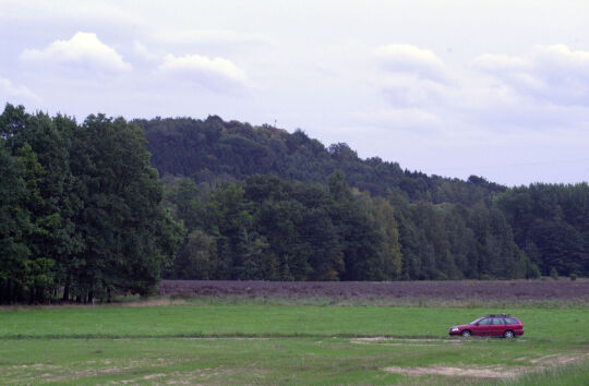 Blick zum Borberg in Kirchberg aus westlicher Richtung.