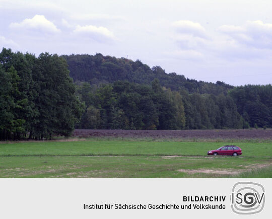 Blick zum Borberg in Kirchberg aus westlicher Richtung.