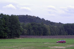 Blick zum Borberg in Kirchberg aus westlicher Richtung.