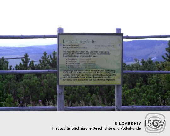 Hinweistafel zu einer forstlichen Umwandlungsfläche am Fichtelberg.