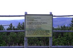 Hinweistafel zu einer forstlichen Umwandlungsfläche am Fichtelberg.