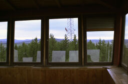 Die langsam zuwachsende Ausssicht vom Dr.-Köhler-Aussichtsturm auf dem Gleesberg bei Schneeberg.