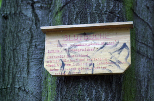 Infotafel an einem Baum im Park der Gaststätte Schöne Aussicht in Reichenbach.