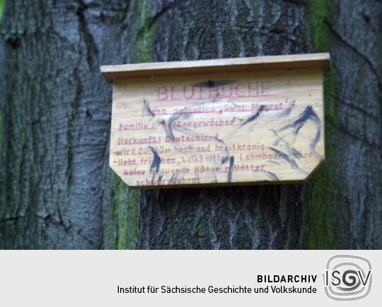 Infotafel an einem Baum im Park der Gaststätte Schöne Aussicht in Reichenbach.