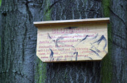 Infotafel an einem Baum im Park der Gaststätte Schöne Aussicht in Reichenbach.