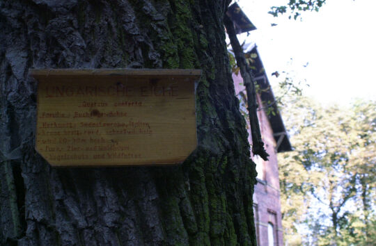 Infotafel an einem Baum im Park der Gaststätte Schöne Aussicht in Reichenbach.