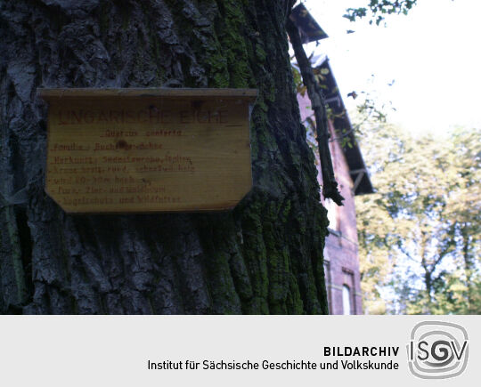 Infotafel an einem Baum im Park der Gaststätte Schöne Aussicht in Reichenbach.