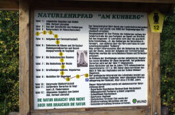 Bild: Beschreibung des Naturlehrpfades am Kuhberg.