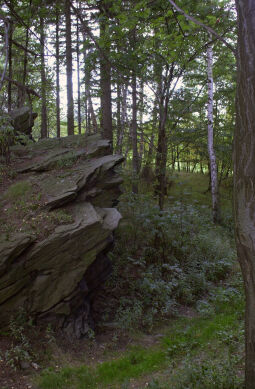 Felsen an der Morgensternhöhe bei Ansprung.