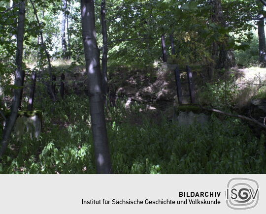 Verankerungen des während des Zweiten Weltkriegs errichteten Luftbeobachtungsturms auf der Morgensternhöhe bei Ansprung.