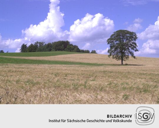 Blick zur Morgensternhöhe bei Ansprung.