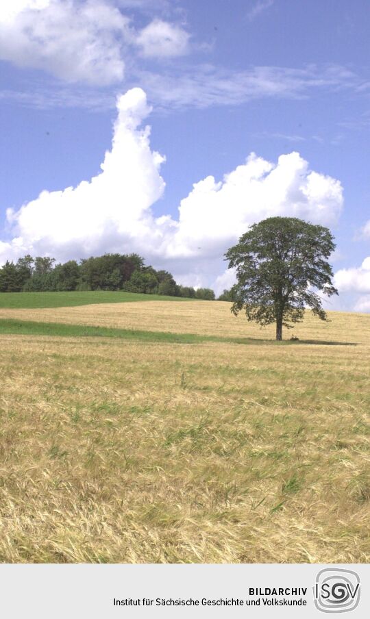 Blick zur Morgensternhöhe bei Ansprung.