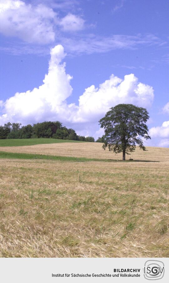 Blick zur Morgensternhöhe bei Ansprung.