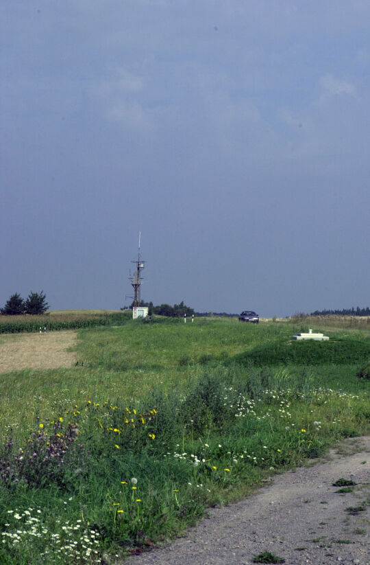 Straßenraum bei Mulda in Sachsen.