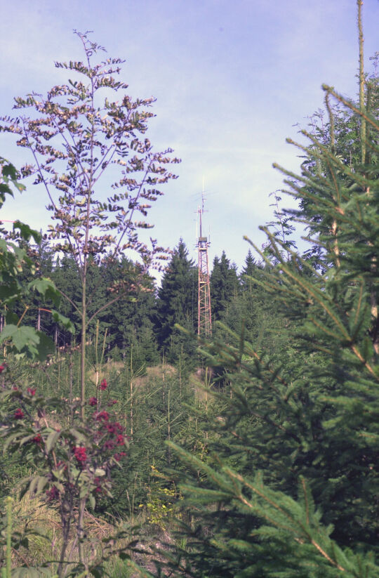 Funkmast an der Hohen Henne im Erzgebirge.