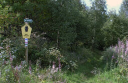 Wegweiser zum Aussichtspunkt Vogeltoffelfelsen bei Ansprung im Erzgebirge.