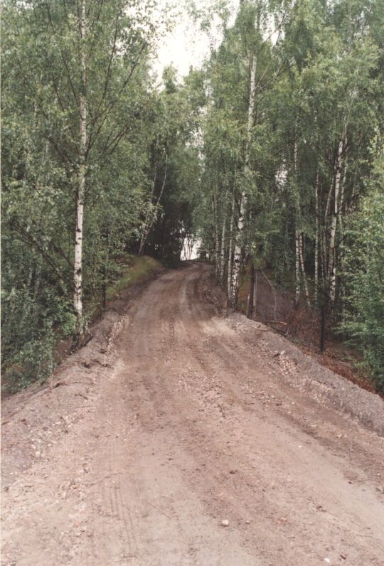 Waldweg bei Oelsnitz/Erzgebirge