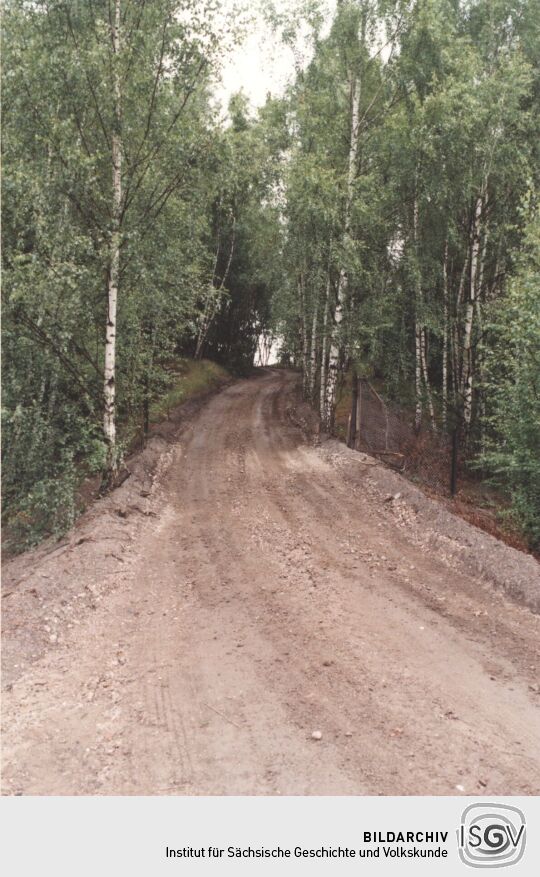 Waldweg bei Oelsnitz/Erzgebirge