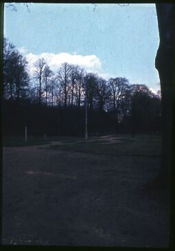 Bild: Blick in den Park von Schloss Reinhardtsgrimma