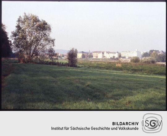 Blick vom Ostragehege in Dresden über die Elbe nach Pieschen