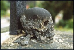 Bild: Skulptur eines Totenkopfs auf dem katholischen Friedhof in der Dresdner Friedrichstadt