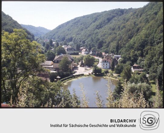 Blick auf den Schlossteich in Tharandt