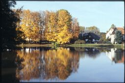 Bild: Blick über einen Teich in Posseck