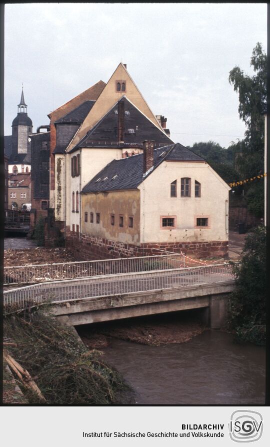 Blick über den Mühlengraben und die Schlossmühle in Rochlitz.