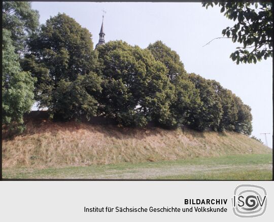 Kirchturmspitze der Kirche Hohenwussen hinter Bäumen