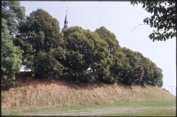 Bild: Kirchturmspitze der Kirche Hohenwussen hinter Bäumen