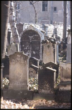 Bild: Gräber auf dem jüdischen Friedhof in der Dresdner Neustadt