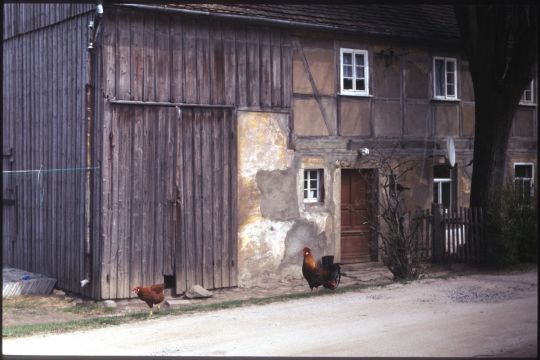 Fachwerkgebäude mit Hahn und Henne in Rammenau